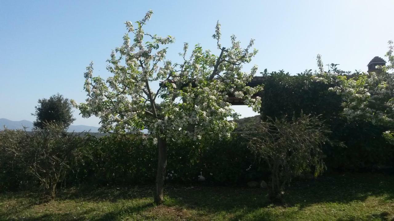 Podere Mammoleta Fattoria la Marsiliana Exterior foto